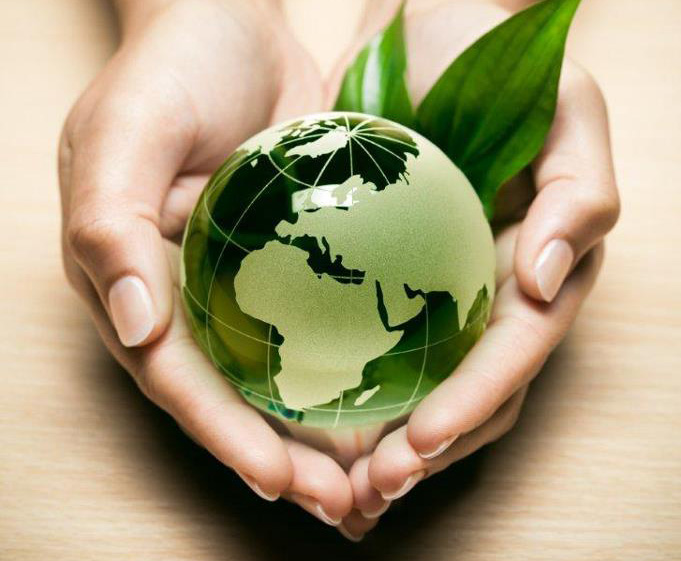 Presença global MAXXI International Business